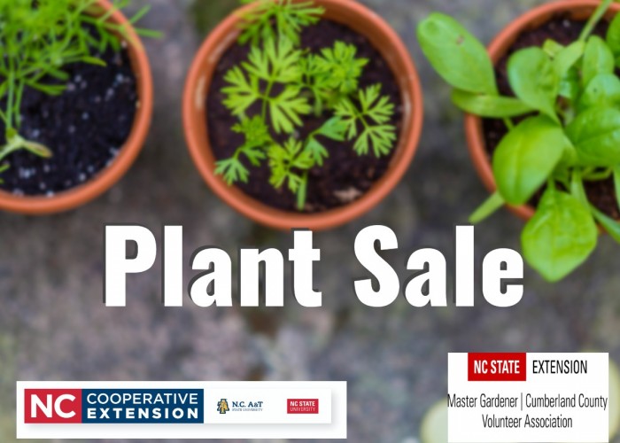 Extension Master Gardener Volunteer Plant Sale